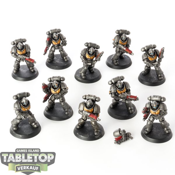 Space Marines - 10 x Intercessors - bemalt