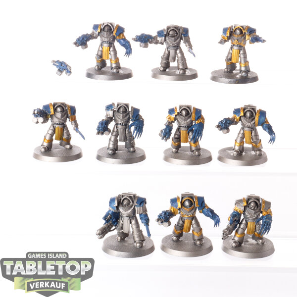Horus Heresy - 10 x Legion Cataphractii Terminator Squad - bemalt