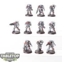 Space Wolves - 10 x Intercessors - bemalt