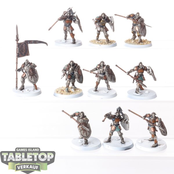 Stormcast Eternals - 10 x Vindictors - bemalt