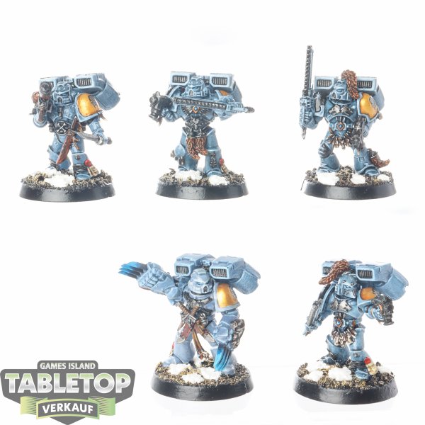 Space Wolves - 5 x Skyclaws - bemalt