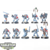 Space Wolves - 10 x Grey Hunters - bemalt