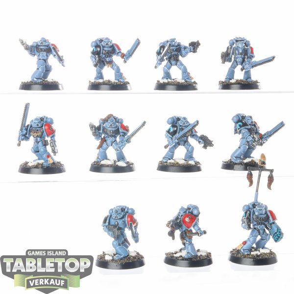 Space Wolves - 10 x Grey Hunters - bemalt