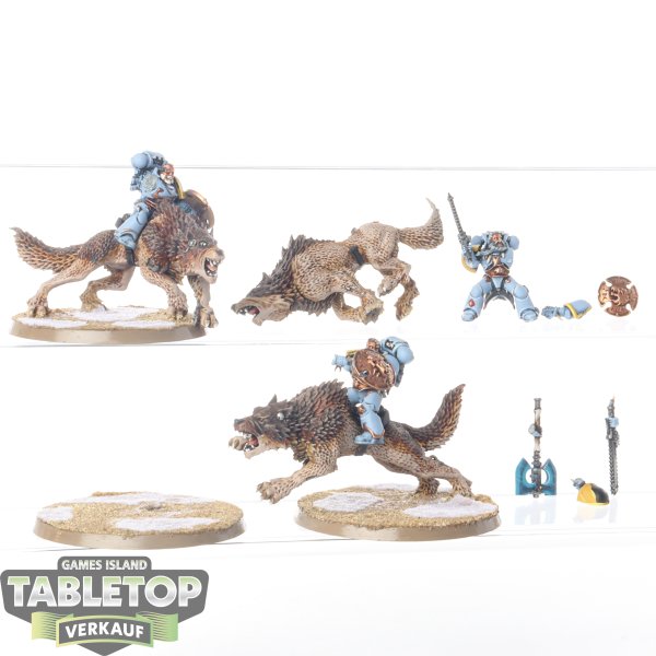 Space Wolves - 3 x Thunderwolf Cavalry - bemalt