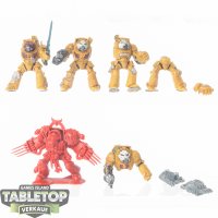 Blood Angels - 5 x Terminator Squad klassisch - teilweise...