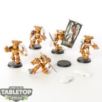 Blood Angels - 5x Sanguinary Guard - bemalt