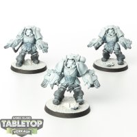 Space Marines - 3 x Primaris Aggressors - teilweise bemalt