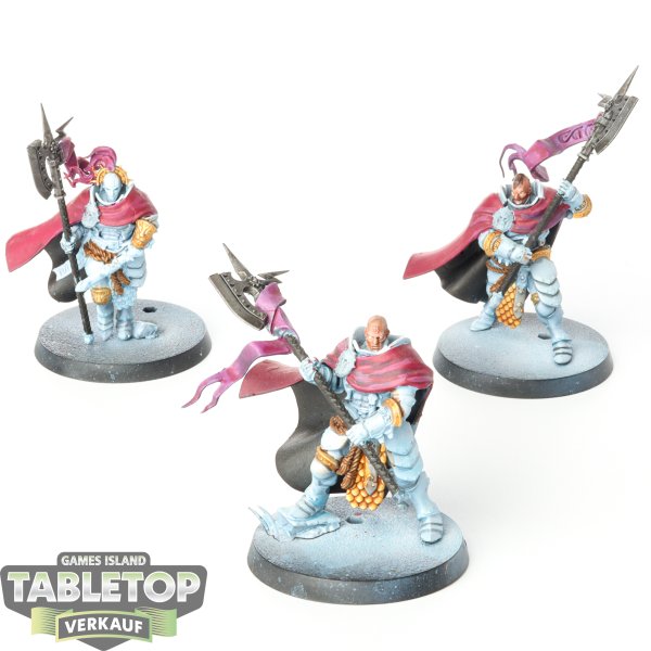 Stormcast Eternals - 3 x Praetors - teilweise bemalt