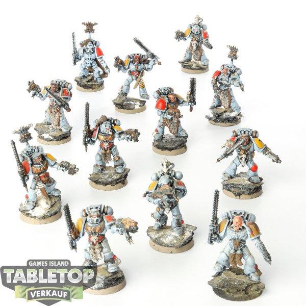 Space Wolves - 12x Grey Hunters - teilweise bemalt