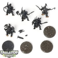 Maggotkin of Nurgle - 5 x Putrid Blightkings - teilweise...