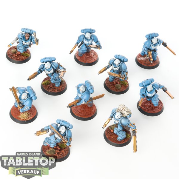 Space Wolves - 10 x Assault Intercessors - bemalt