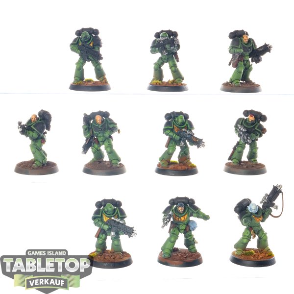 Space Marines - 10 x Intercessors - bemalt