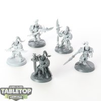 Adeptus Custodes - 5x Custodian Guard Squad - teilweise...