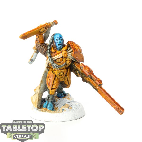 Tau Empire - Cadre Fireblade - bemalt