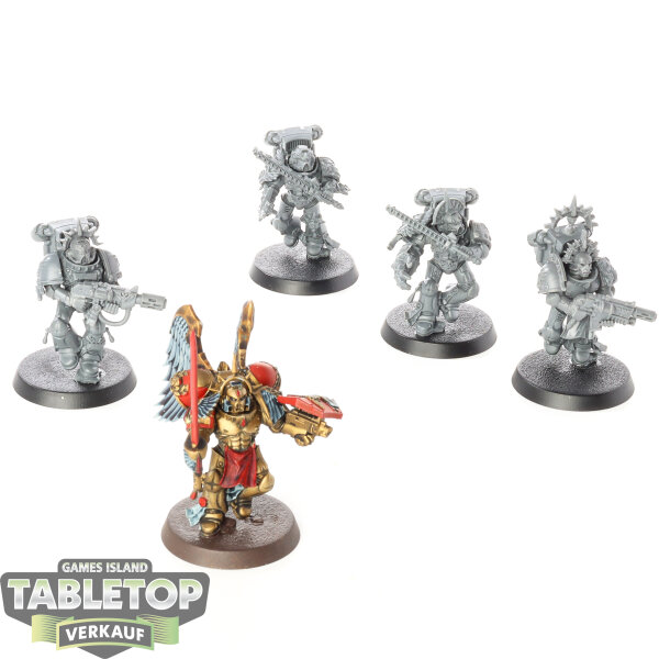 Blood Angels - 5 x Sanguinary Guard klassisch - teilweise bemalt