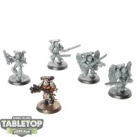 Blood Angels - 5 x Sanguinary Guard klassisch - teilweise...