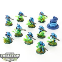 Tau Empire - 10 x Fire Warriors Strike Team - bemalt