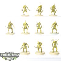 Maggotkin of Nurgle - 10 x Plaguebearers of Nurgle -...