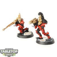 Drukhari - 2x Warriors with Dark Lances - bemalt