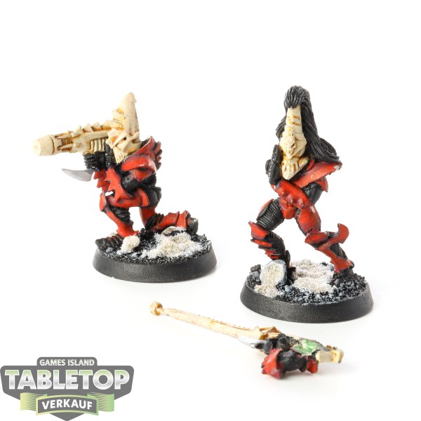 Drukhari - 2x Warriors with Dark Lances - bemalt