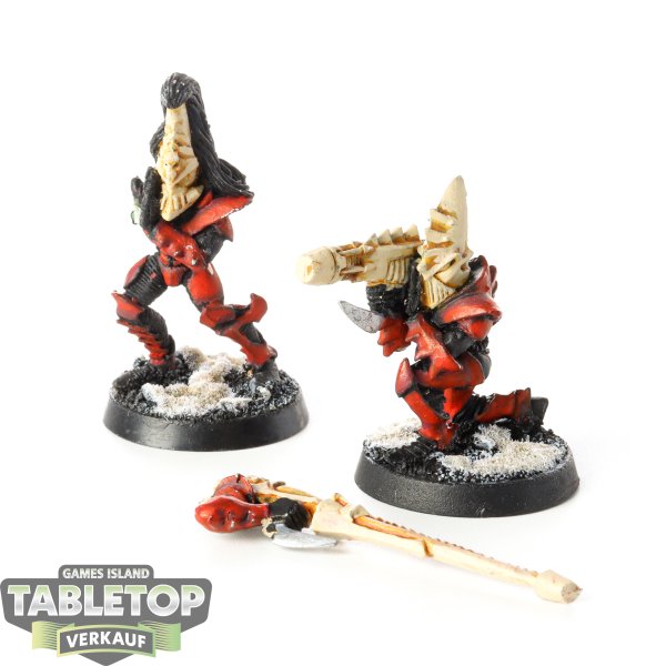 Drukhari - 2x Warriors with Dark Lances - bemalt