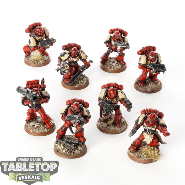 Space Marines - 8x Tactical Squad - bemalt