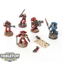 Space Marines - 5x Tactical Squad - bemalt