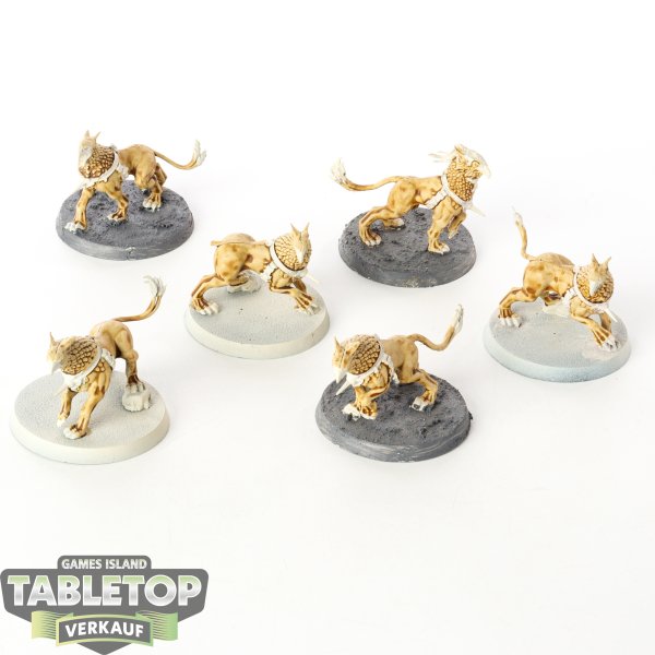 Stormcast Eternals - 6 Gryph-hounds - teilweise bemalt