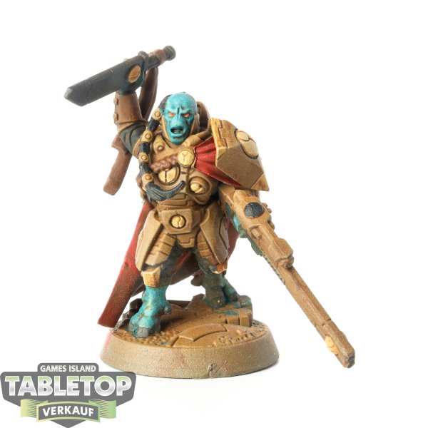 Tau Empire - Cadre Fireblade - bemalt