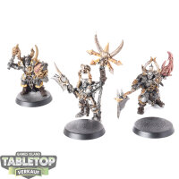 Slaves to Darkness - 3 Chaos Chosen Command klassisch -...