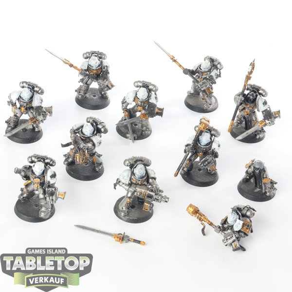 Grey Knights - 10x Grey Knights Purifier Squad - bemalt