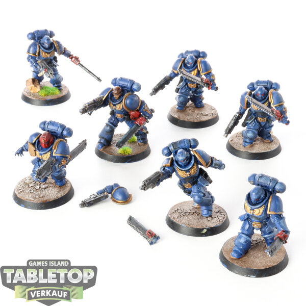 Space Marines - 7 Assault Intercessors - bemalt