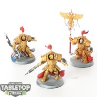 Adeptus Custodes - 3 x Allarus Custodians - teilweise bemalt