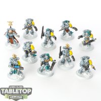 Space Wolves - 10 x Grey Hunters - teilweise bemalt