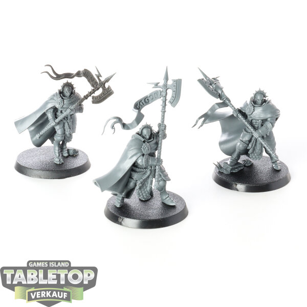 Stormcast Eternals - 3 Praetors - unbemalt