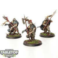 Stormcast Eternals - 3x Praetors - bemalt