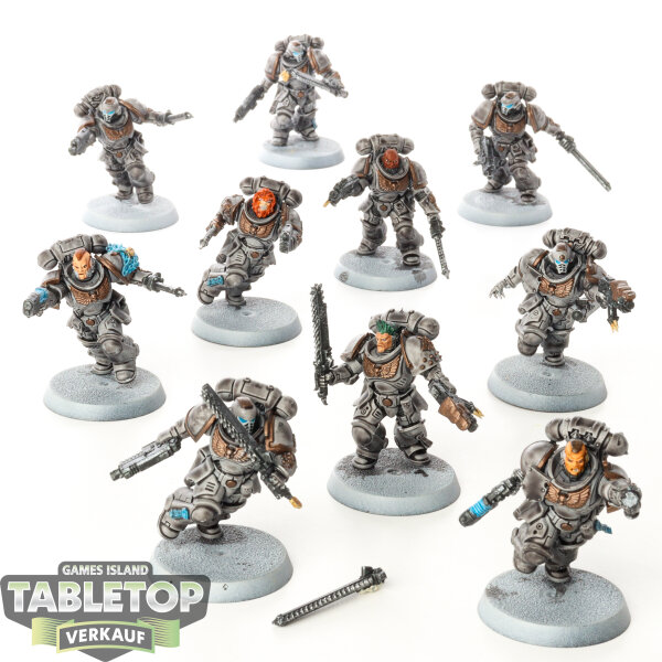 Space Wolves - 10x Assault Intercessors - bemalt