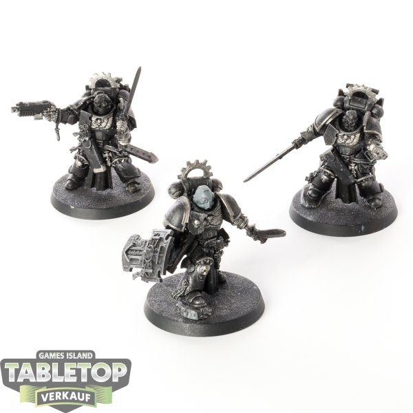 Space Marines - 3 x Bladeguard Veterans - teilweise bemalt