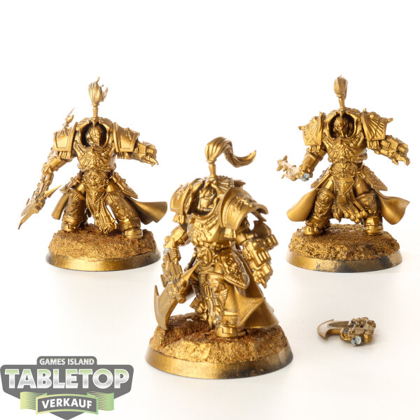 Adeptus Custodes - 3 x Allarus Custodians - grundiert