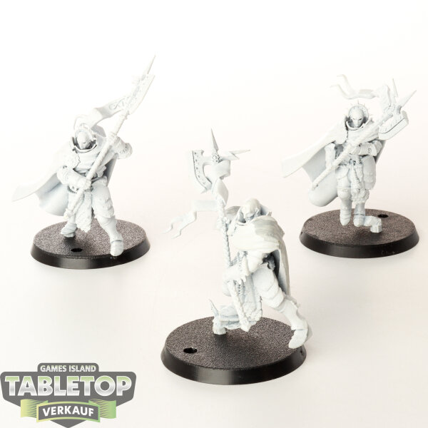 Stormcast Eternals - 3 x Praetors - grundiert