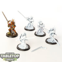 Stormcast Eternals - 5 x Protectors - teilweise bemalt