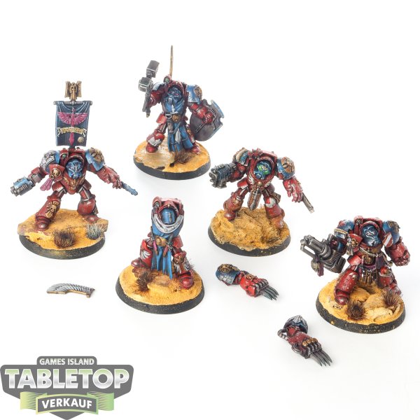 Dark Angels - 5x Deathwing Terminator Squad klassisch - bemalt