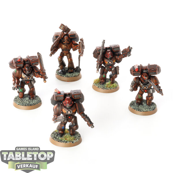 Space Marines - 5x Assault Marines (Classic) - bemalt