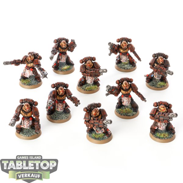 Space Marines - 10x Tactical Marines (Classic) - bemalt