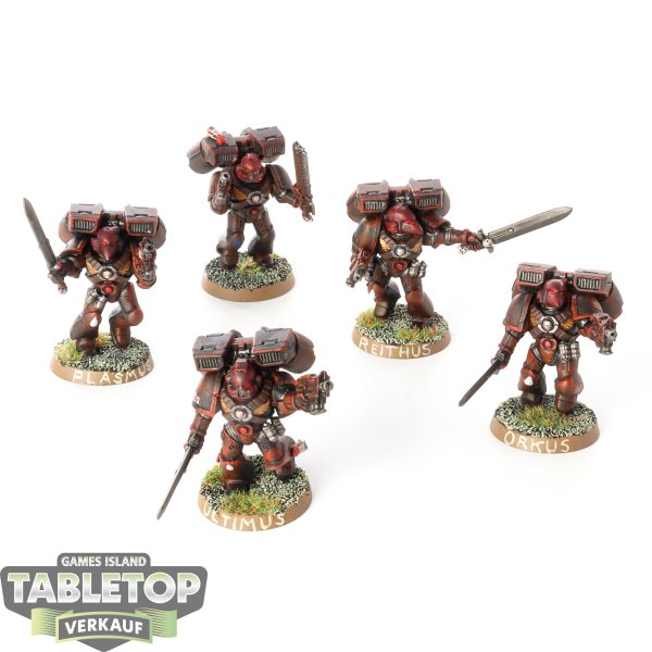 Space Marines - 5x Assault Marines (Classic) - bemalt