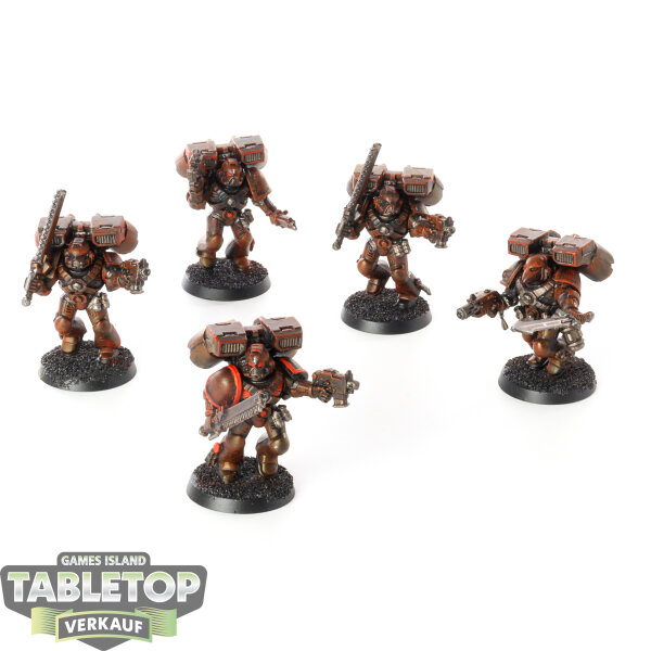 Space Marines - 5x Assault Marines (Classic) - bemalt