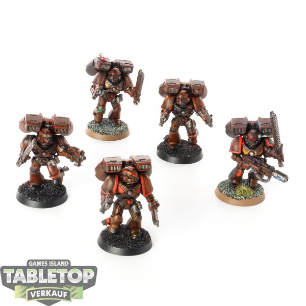 Space Marines - 5x Assault Marines (Classic) - bemalt