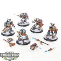 Grey Knights - 5x Terminator Squad - bemalt