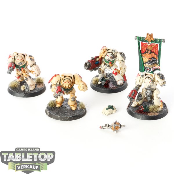 Dark Angels - 4 x Deathwing Terminator Squad klassisch - bemalt