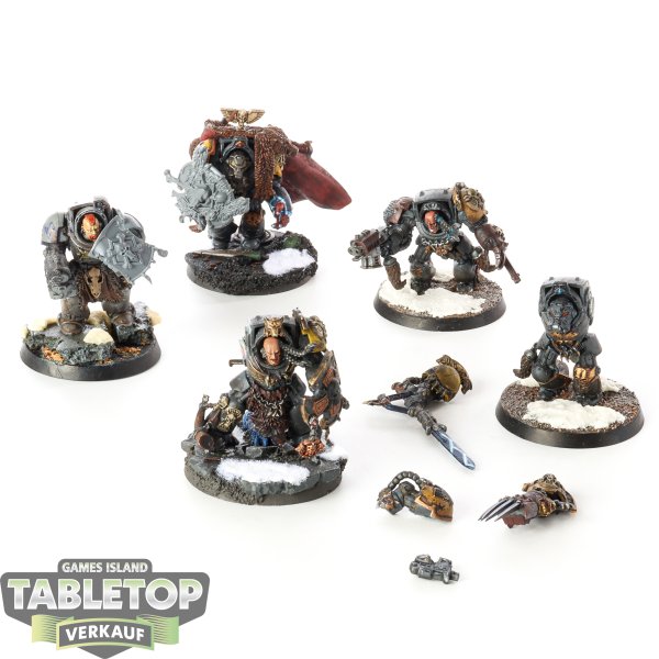 Space Wolves - 5 x Wolf Guard Terminators - teilweise bemalt